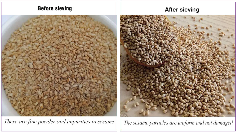 Sifter Machine for Sesame