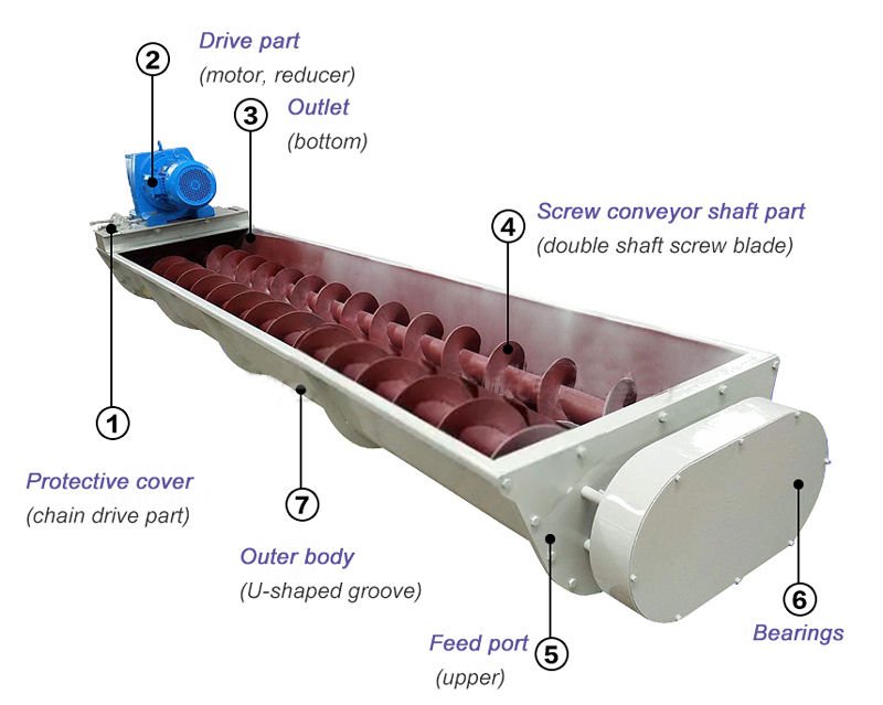 structure of double screw conveyor