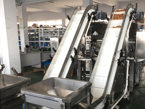 Belt Conveyor with Hopper