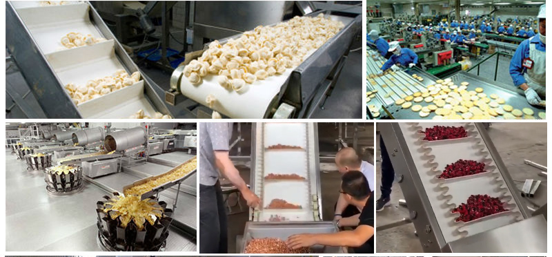 Food Industry Z Type Belt Conveyor for Biscuit